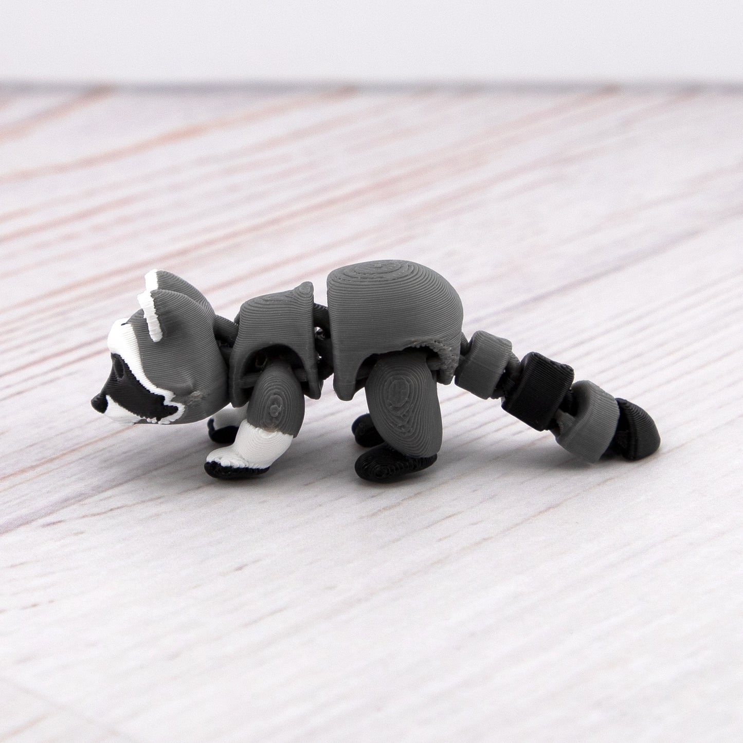 RACCOON