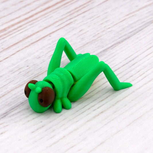 GRASSHOPPER