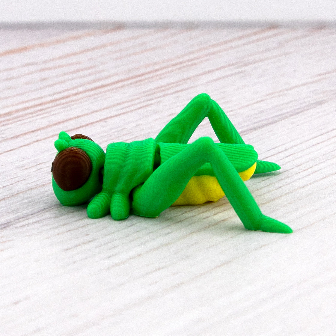 GRASSHOPPER