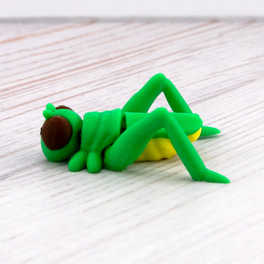 GRASSHOPPER
