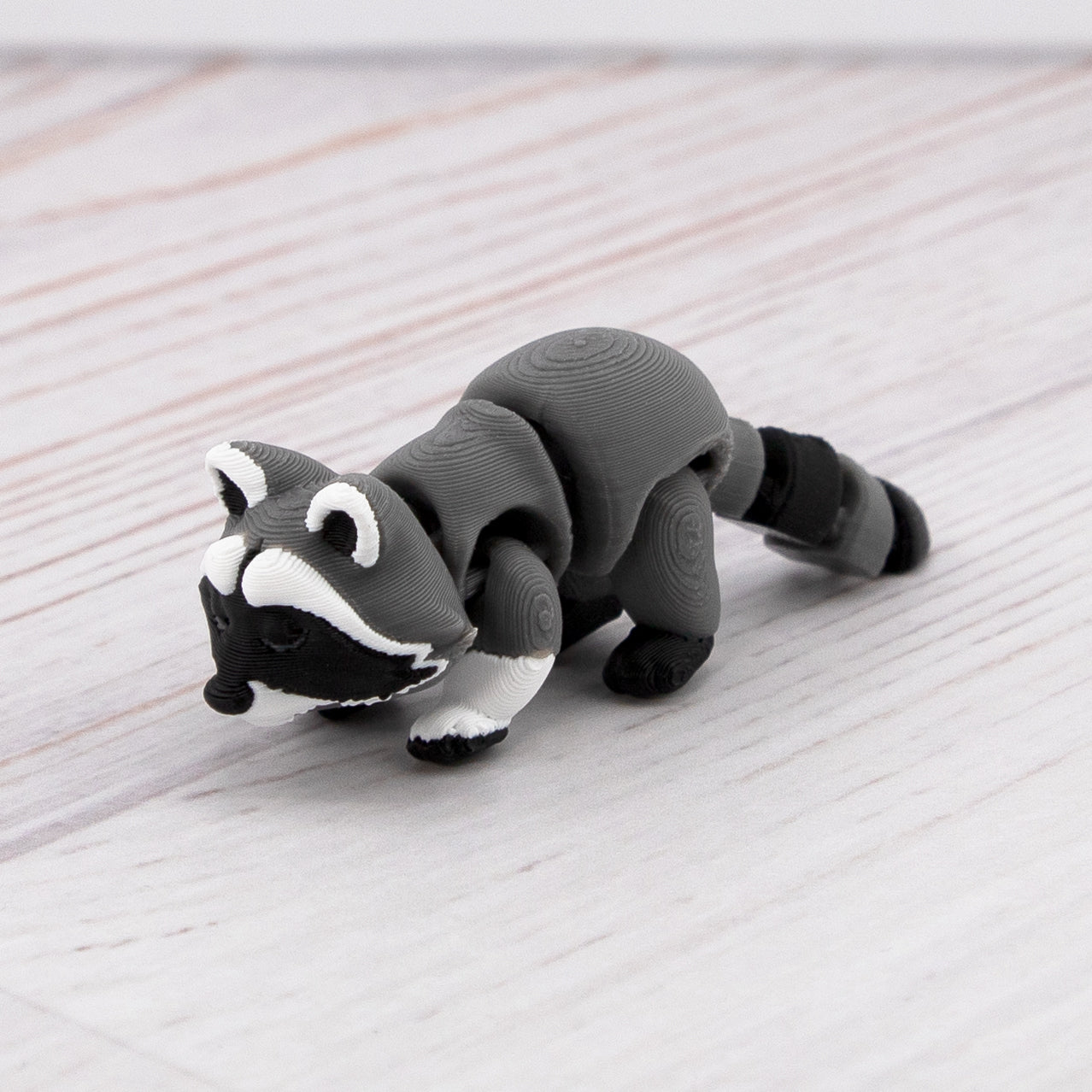 RACCOON